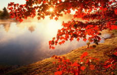 O‘zbekiston hududida dam olish kunlari ob-havo quruq va juda iliq bo'ladi