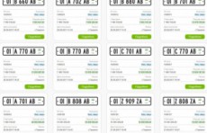 Более 110 автономеров на 2 млрд. сумов реализованы в ходе аукционов