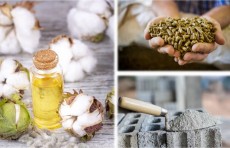 Birjada 2,9 trln so'mlik tovarlar sotildi, sement, paxta yog'i va shrotning narxi pasaydi