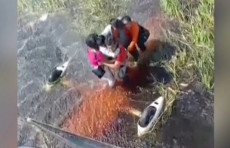 Boliviyada 36 soat davomida timsohlar orasida qolgan aviahalokat jabrlanuvchilari qutqarildi