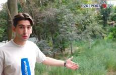 Жители махалли Лолазор в Мирабаском районе спасают зеленую зону
