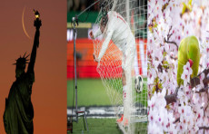 Nyu-Yorkdagi Ozodlik haykali ortidagi oy, Portugaliya va Daniya terma jamoalari o'rtasidagi futbol o'yini vaqtida, Londondagi bog'da gilos gullari orasidagi to'tiqush. Hafta suratlari