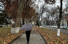 O‘zbekistonda ob-havo keskin sovub, yomg‘ir, qor  va chang-to‘zon kuzatilishi kutilmoqda