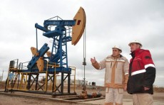 На долю Saneg приходится менее 5 процентов добычи газа в Узбекистане