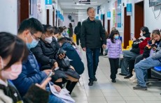 Xitoyda tarqalayotgan "COVID'ga o'xshash" virus XIX asrning unutilgan kasalligi bo‘lishi mumkin