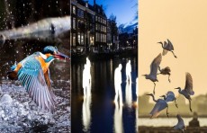 Kolombo moda haftaligi, Amsterdam yorug'lik festivali, Myunxendagi Rojdestvo bozori. 2-dekabr  suratlari